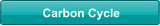 Carbon Cycle